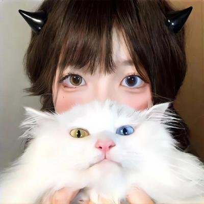 觅法奇程