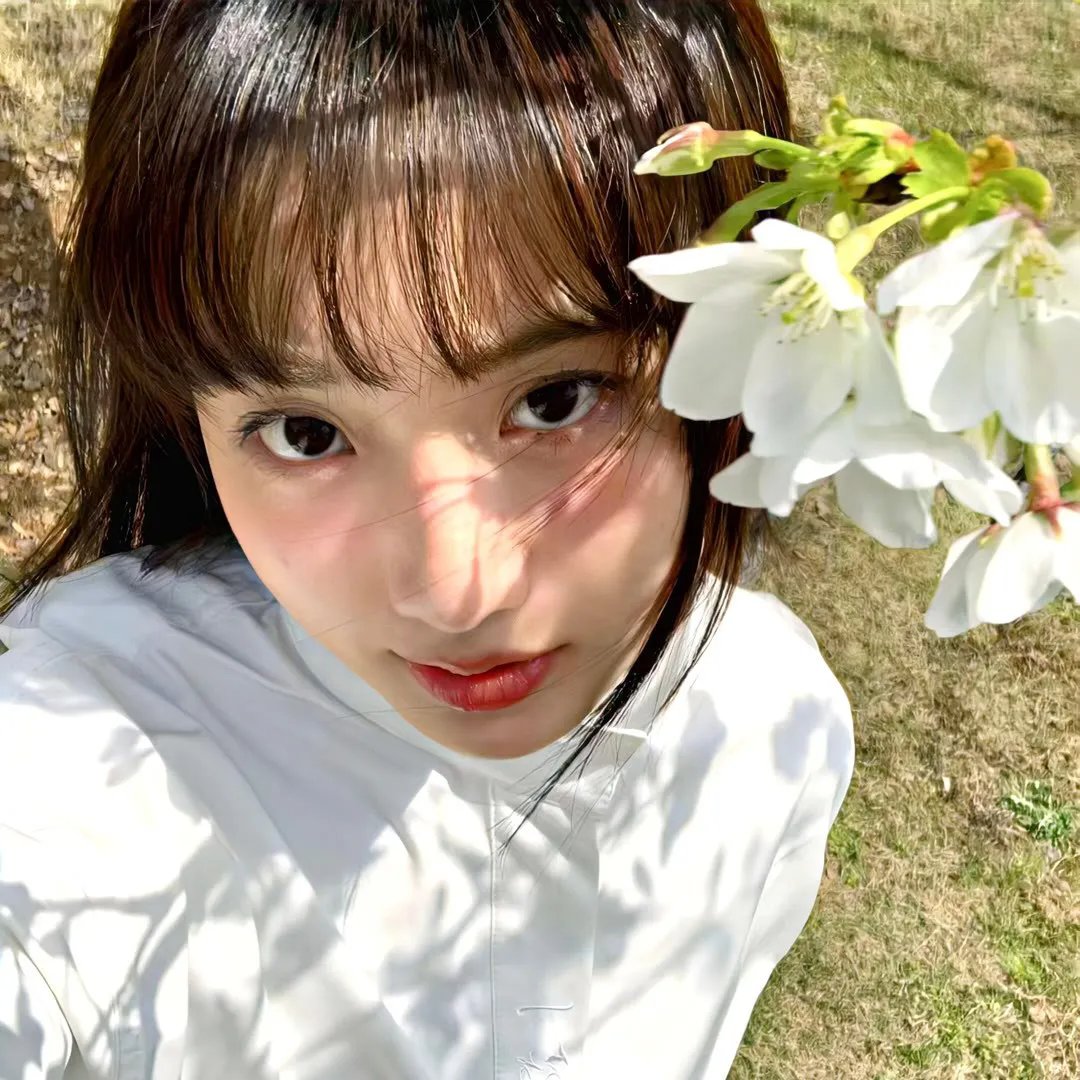 花园宝宝